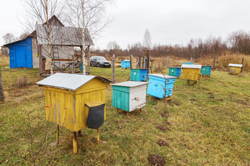 Apiary at autumn.