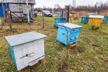 Apiary.