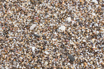 seabed