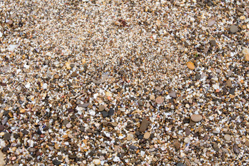 seabed