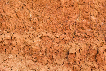 The soil on the slope
