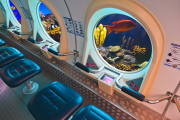 Fishes in submarine window