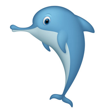 Happy dolphin standing on white background