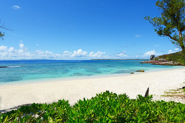 伊是名島の美しい珊瑚の海と夏空