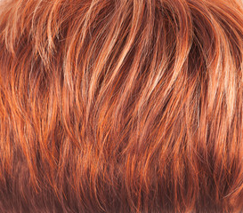 Naklejka premium Hair fragment as a background composition
