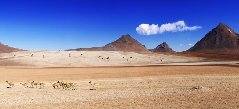 Salvator Dali desert Bolivia