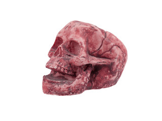 Single old skull isolated