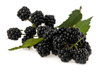 blackberry