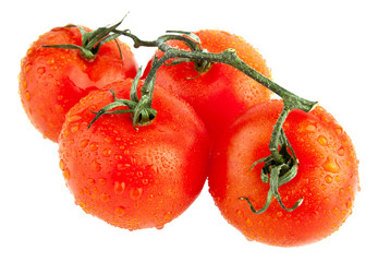 tomatoes