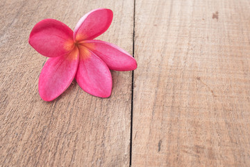 flower on old table wooden