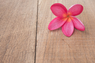 flower on old table wooden