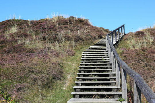 Steg in der Heide