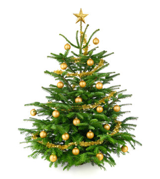 Sch&ouml;ner, gold geschm&uuml;ckter Weihnachtsbaum