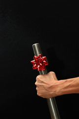 Big Steel Bolt with a Red Christmas Bow.