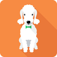 dog icon flat design