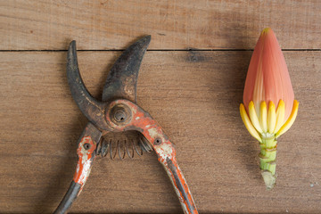 old gardening tool on table wood