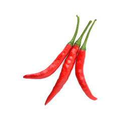 chili pepper isolated on a white background