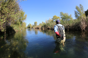 Fly fisherman fishing in low water river
