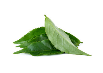Green tea leaf isolated on white background. - obrazy, fototapety, plakaty