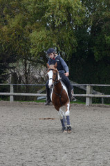cavalière