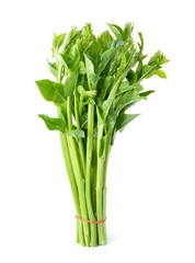 Fototapeta premium Malabar spinach or Ceylon spinach isolated on white