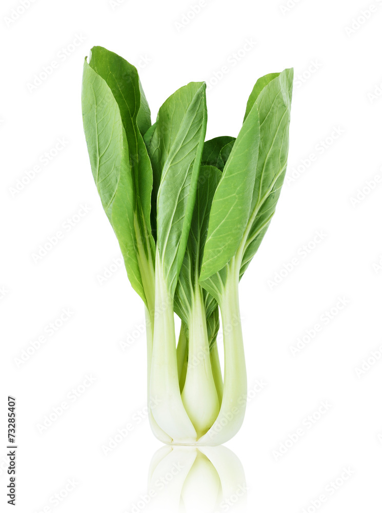 Wall mural bok choy (chinese cabbage) isolated on white - Wall murals