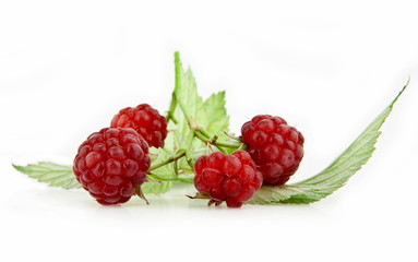 raspberry
