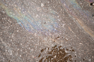 oil and water on street