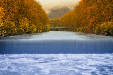 Fototapeta premium Осень