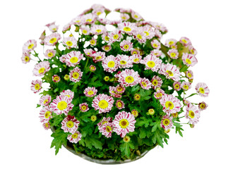 생활소품 오브젝트