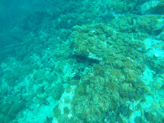 Fototapeta na wymiar Beautiful clear underwater surface