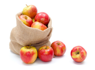 Ripe apples in burlap sack