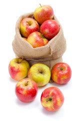 Ripe apples in burlap sack