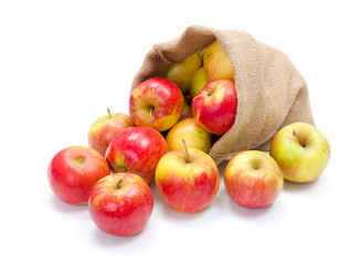 Ripe apples in burlap sack