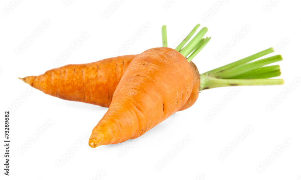 Canvas Prints carrot