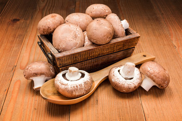 Fresh brown champignons