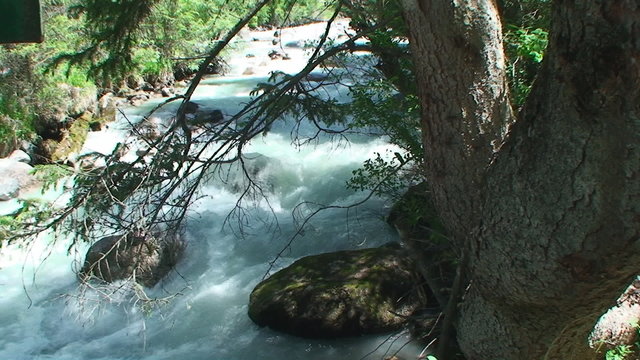 the rough mountain river with pure water