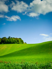 Curving Hill under Blue Sky