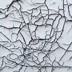 Fond peinture craquelée