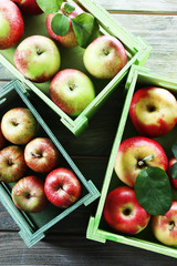 Juicy apples in boxes, close-up