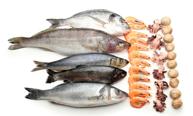 Fresh catch of fish and other seafood close-up