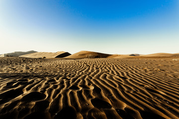 Fototapeta na wymiar beautiful landscape of Hidden Vlei in Namib desert
