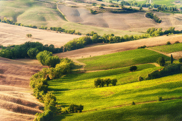 Fototapeta na wymiar Rural landscape of green Tuscan, Italy