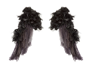 Dark angel wings - 73294896