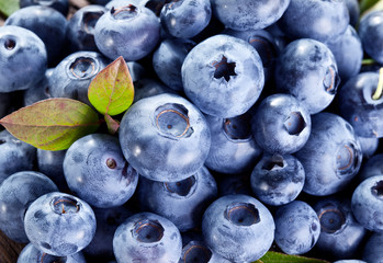 Ripe blueberries - food background. Macro shot.