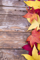 Autumn leaves over aged wooden background