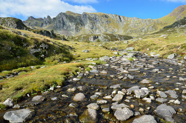 Alpine stream in the Atlantic Pyrenees, Bearn