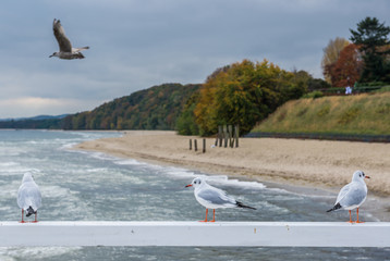 Obraz premium Pier in Orlowo district in Gdynia, Poland