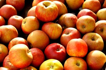Äpfel