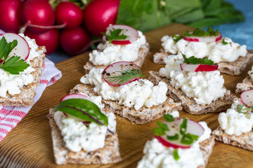 Knäckebrot mit Hüttenkäse Radieschen und Kräutern